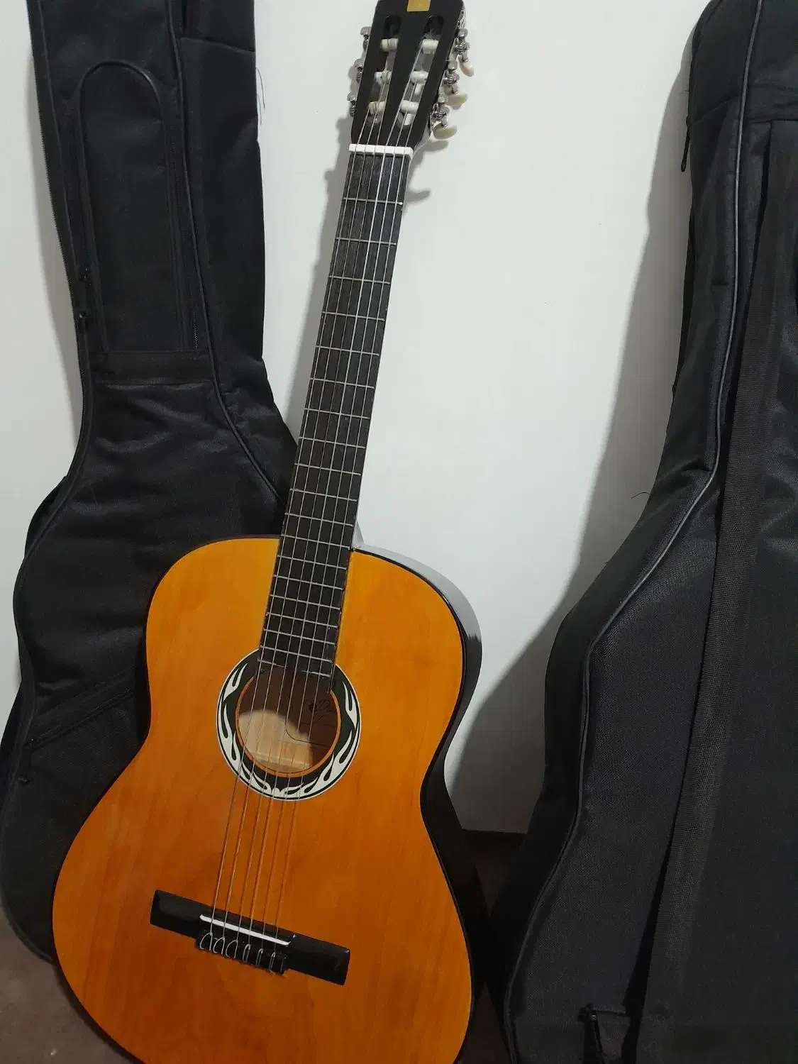 فروش گیتار مدل دیاموند|گیتار، بیس، امپلیفایر|تبریز, |دیوار