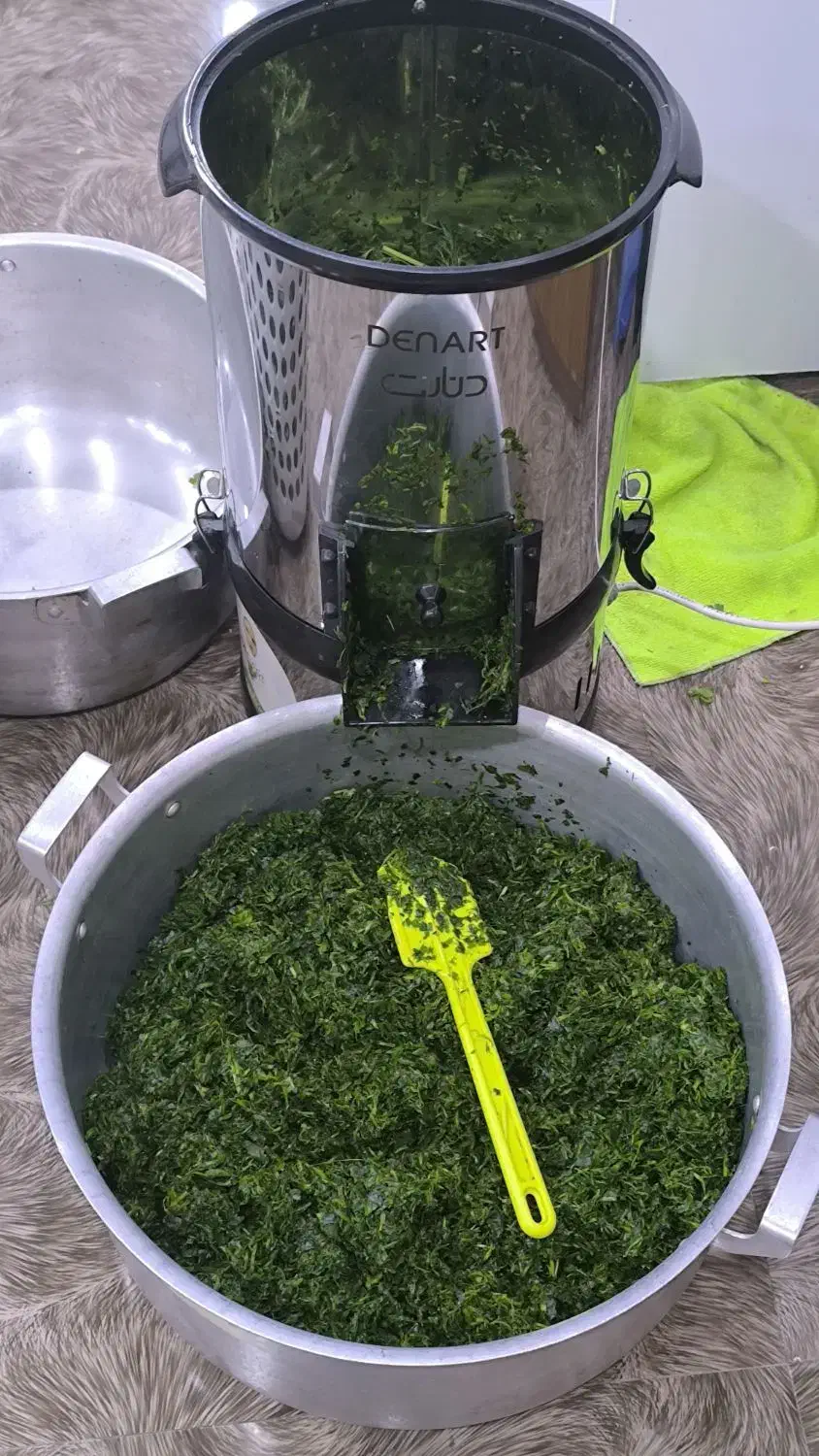 سبزی خوردن|خردکن، آسیاب، غذاساز|اهواز, کوی باهنر|دیوار