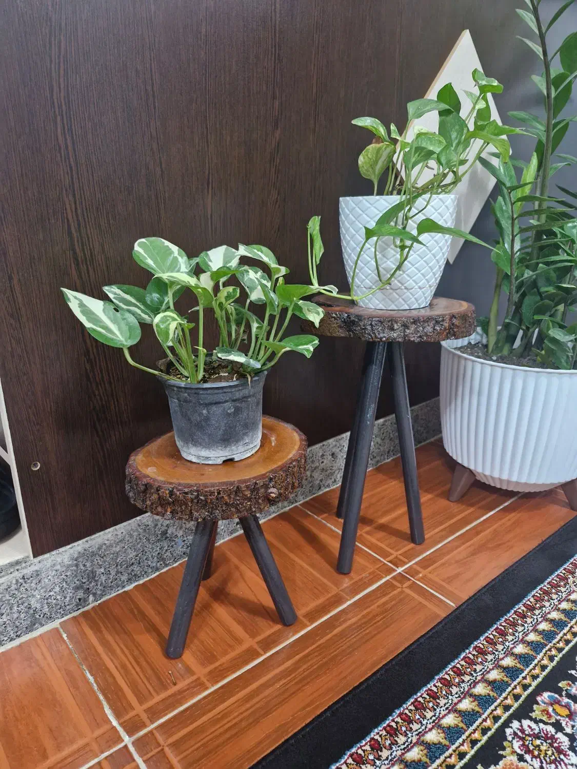 پایه گلدان|صنایع دستی و سایر لوازم تزئینی|رضوانشهر, |دیوار