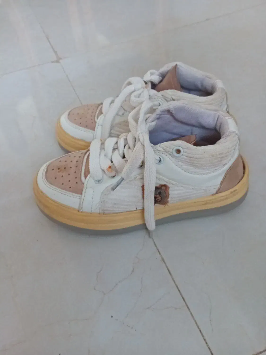 کفش|کیف، کفش، کمربند|خواف, |دیوار