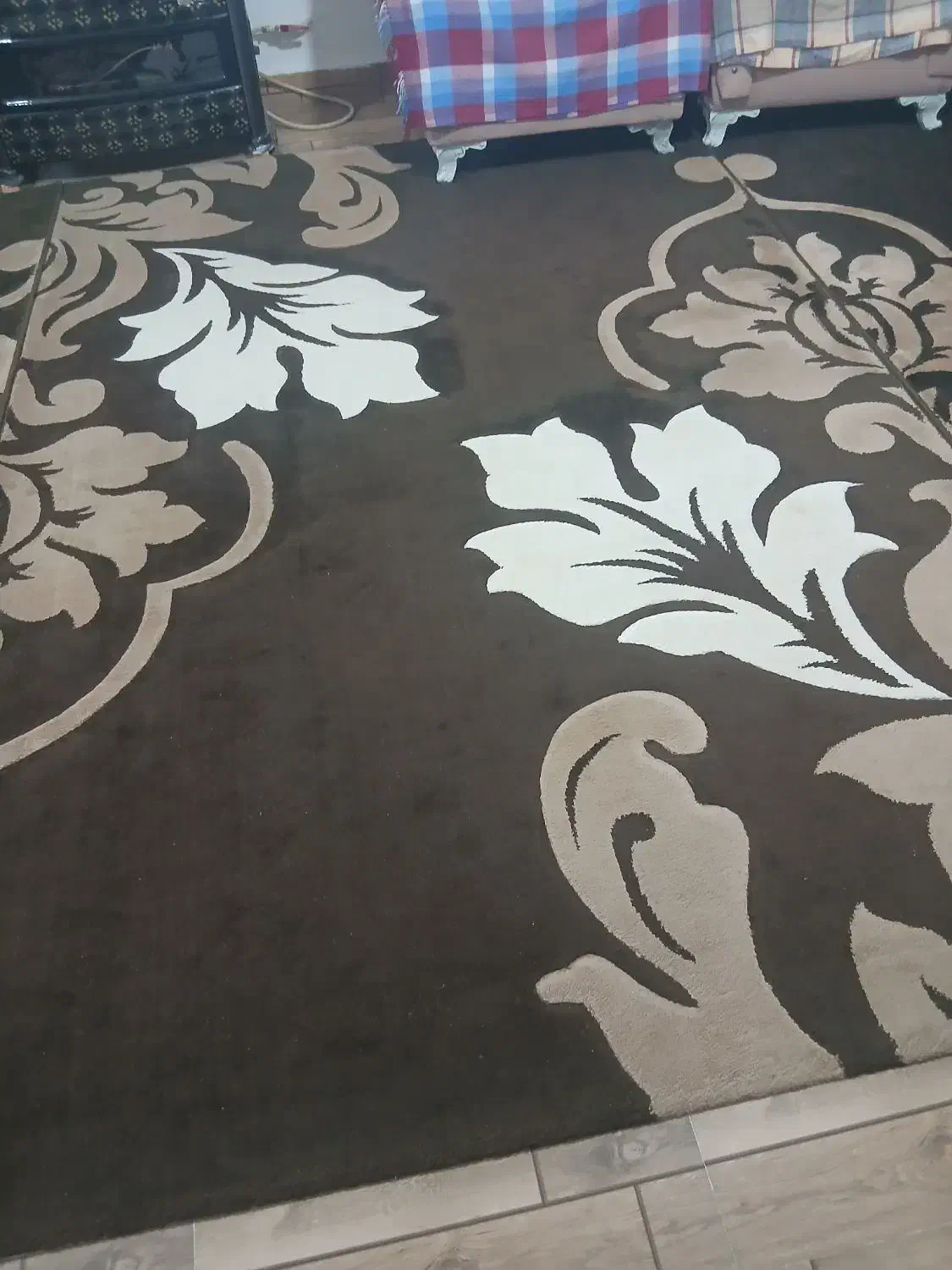 فروش فرش|فرش|آستارا, |دیوار