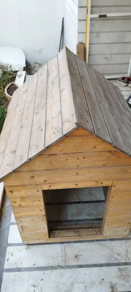 لونه چوبی سگ بزرگ حیوان خانگی|لوازم جانبی حیوانات|جویبار, |دیوار