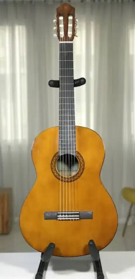 گیتار|گیتار، بیس، امپلیفایر|قزوین, |دیوار