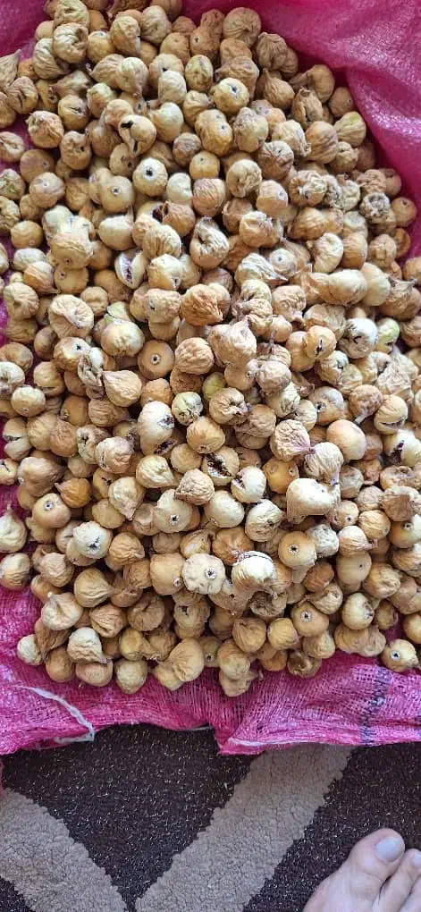 انواع انجیر|خوردنی و آشامیدنی|شیراز, درکی|دیوار