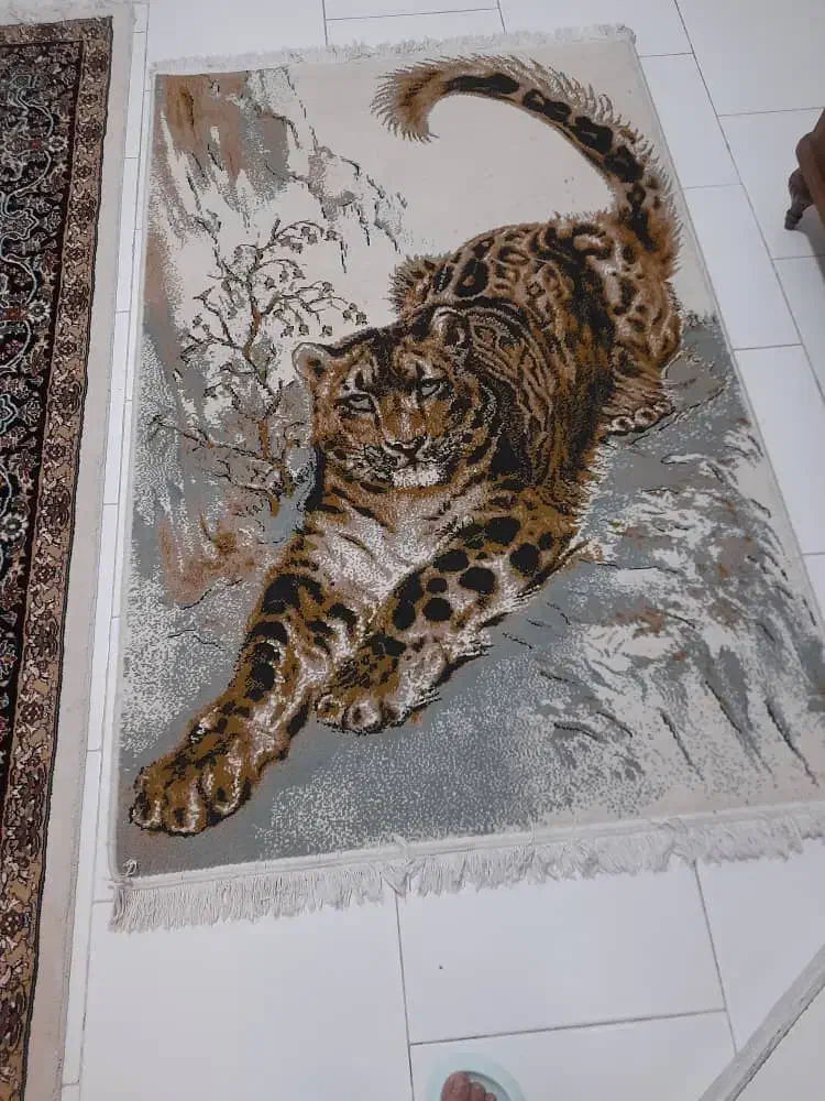 فرش ۳متری|فرش|فردیس, فردیس|دیوار