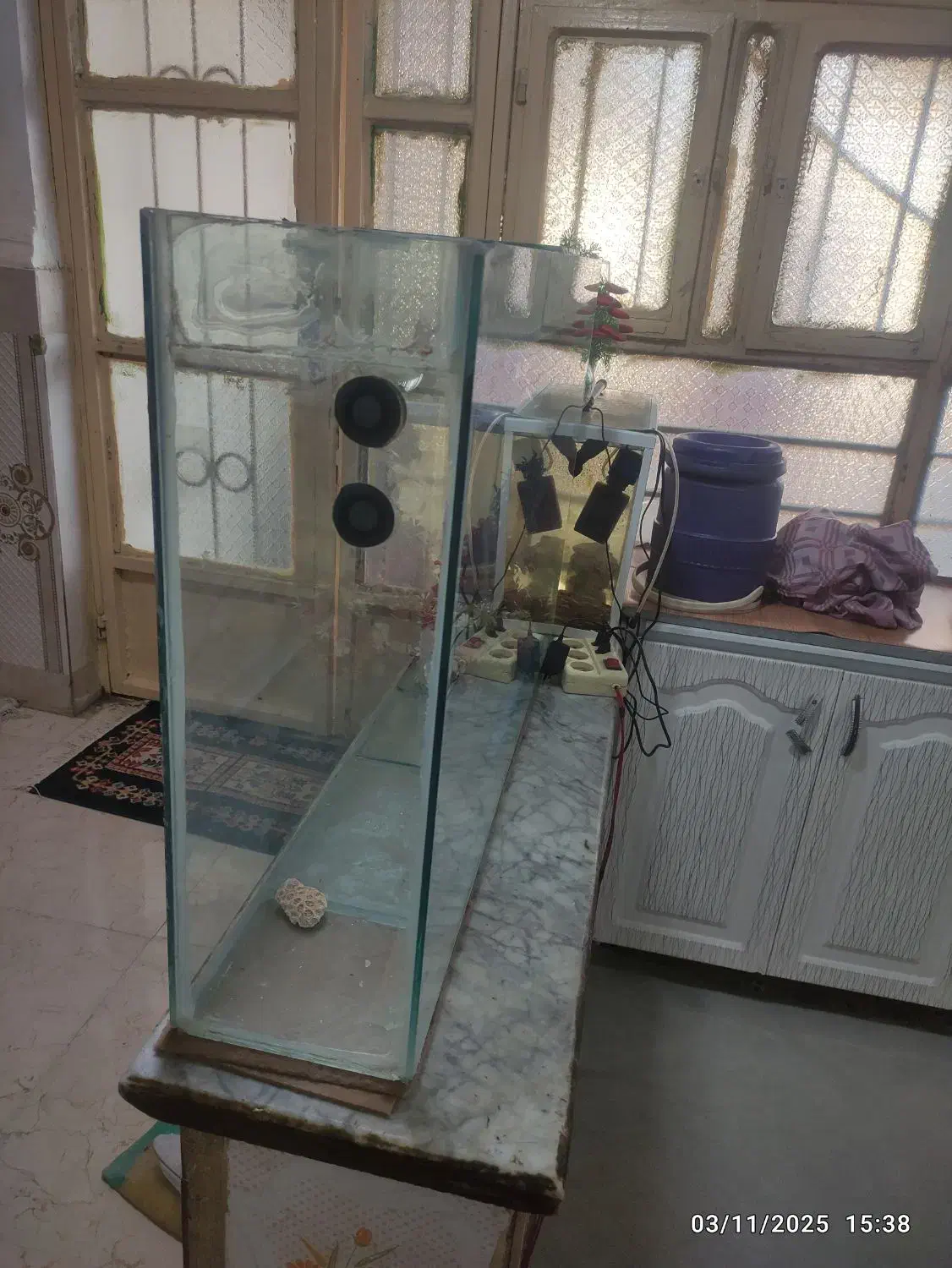 آکواریم و ماهی حراج متن بخون|ماهی|اهواز, دغاغله|دیوار