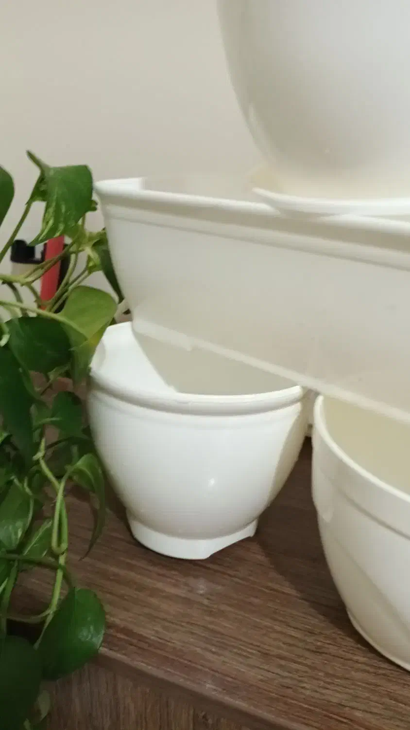 ۵ عدد گلدان نو  جنس پلاستیک سفید براق|گل و گیاه طبیعی|تهران, تهرانسر شرقی|دیوار