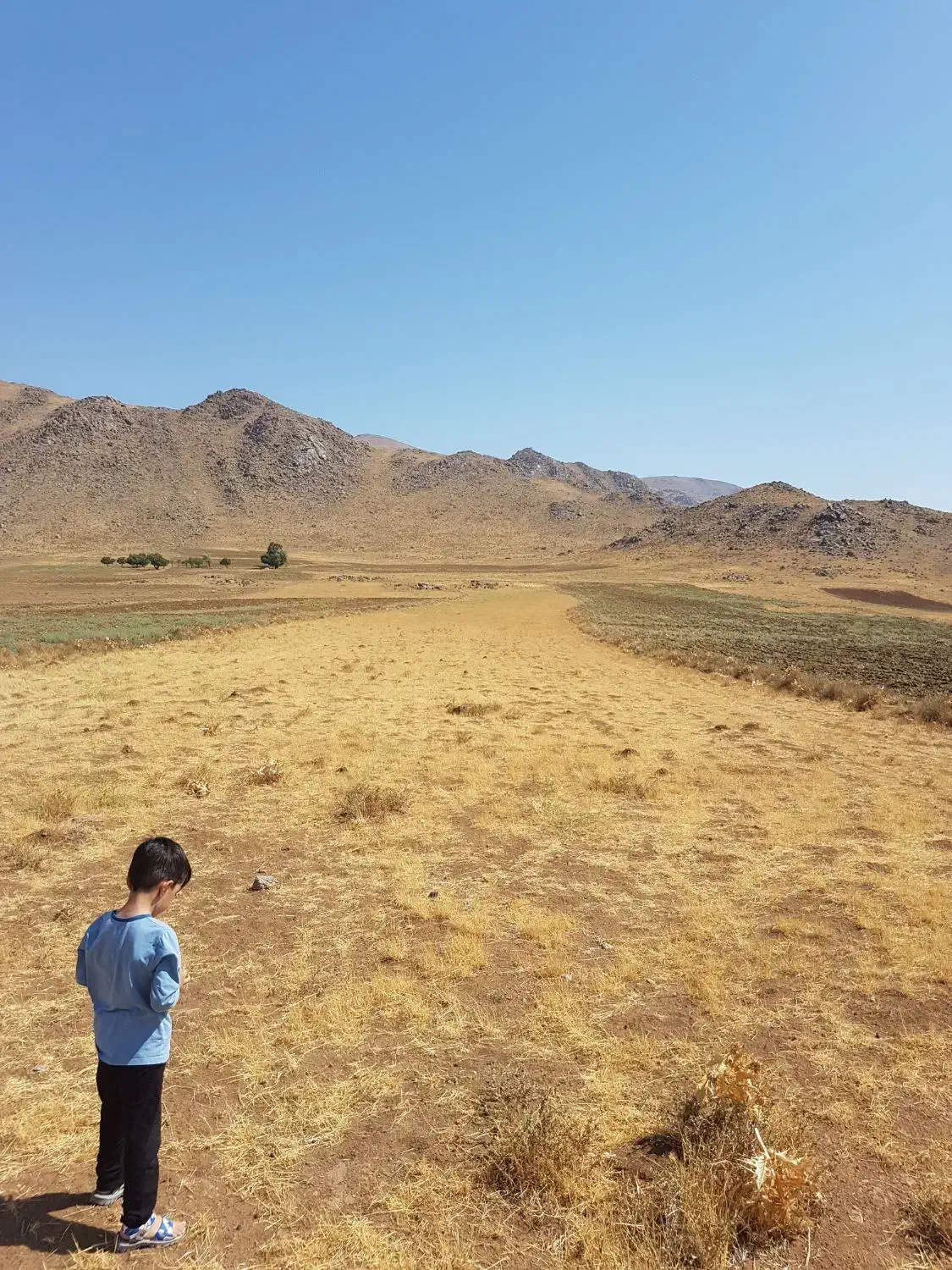 زمین کشاورزی دیم قولنامه|فروش دفتر صنعتی، کشاورزی، تجاری|خرمدره, |دیوار