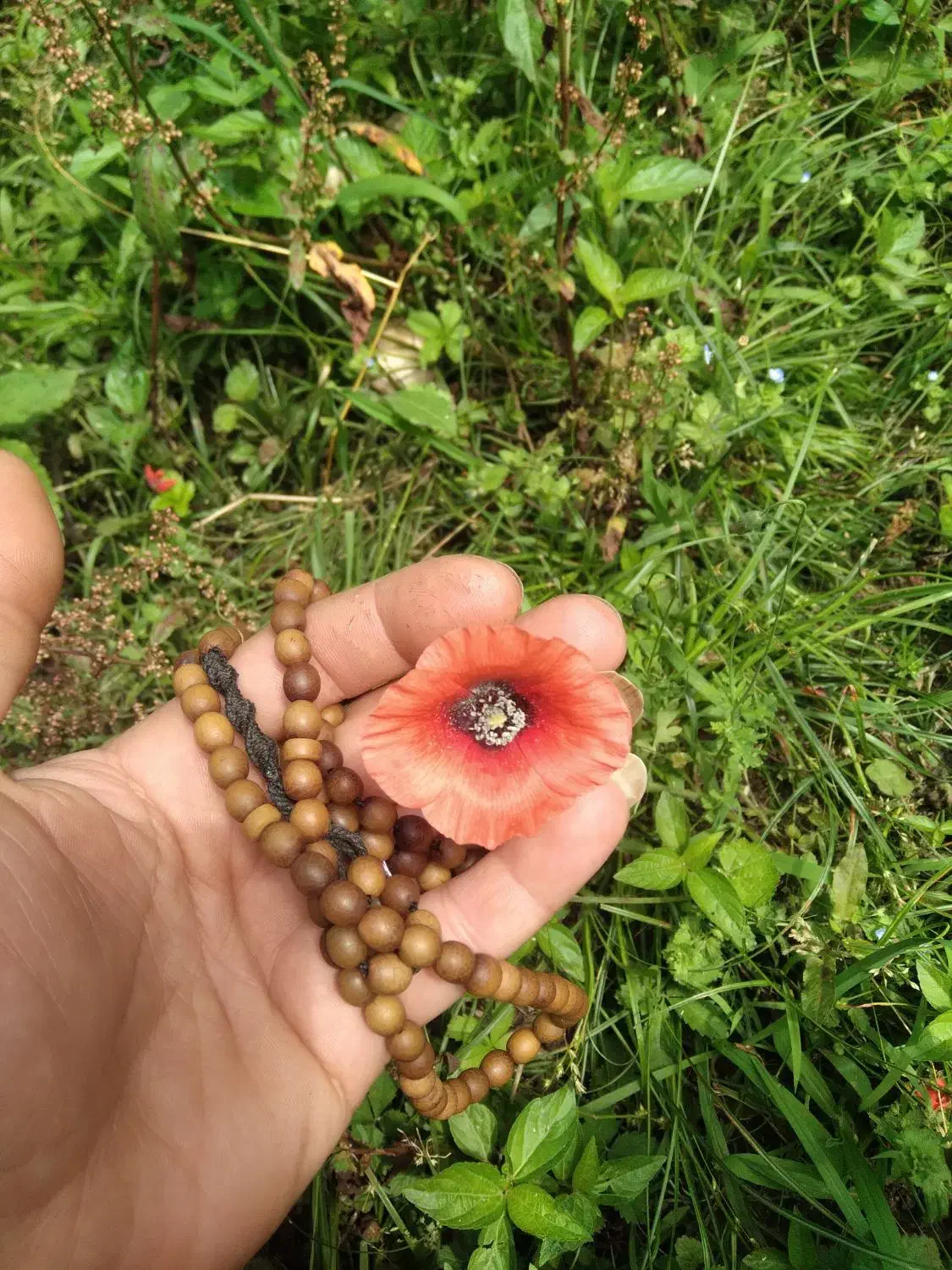 ب ا د ی|کلکسیون و سرگرمی|سیاهکل, |دیوار