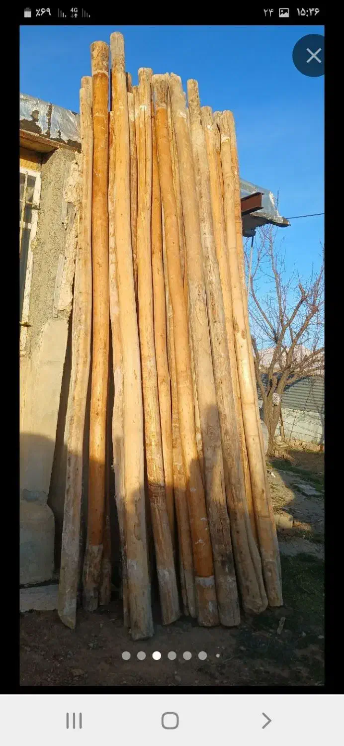 خریدار انواع چوب بابالاترین قیمت|خدمات باغبانی و درختکاری|کرمانشاه, |دیوار