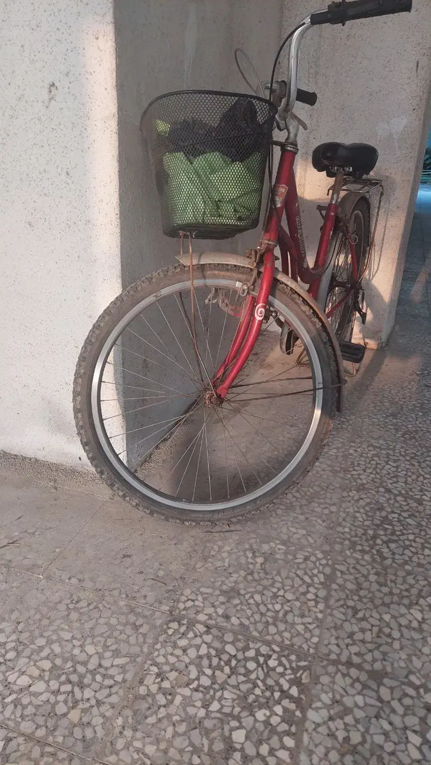 فروش دوچرخه  قناری|دوچرخه، اسکیت، اسکوتر|بندر انزلی, کلیور|دیوار