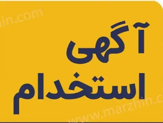 استخدام پشتیبان وکارشناس بازاریابی دستگاه کارتخوان|استخدام بازاریابی و فروش|بیرجند, |دیوار