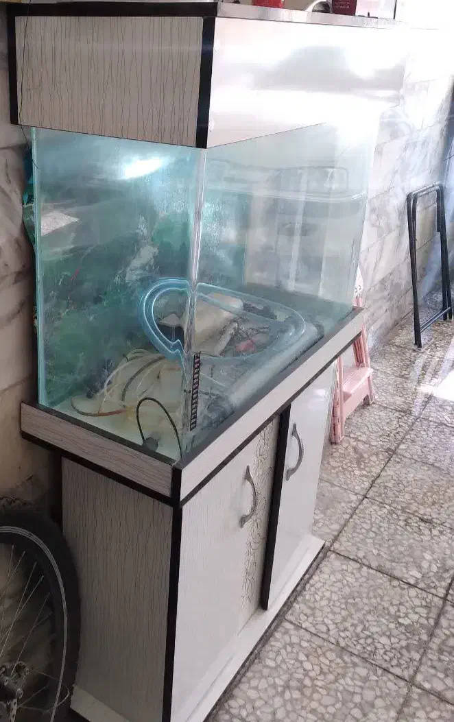 آکواریوم در حدنو|ماهی|اسلام‌شهر, مظفریه|دیوار