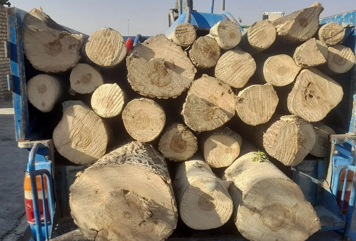 خرید چوب|خدمات باغبانی و درختکاری|اراک, |دیوار