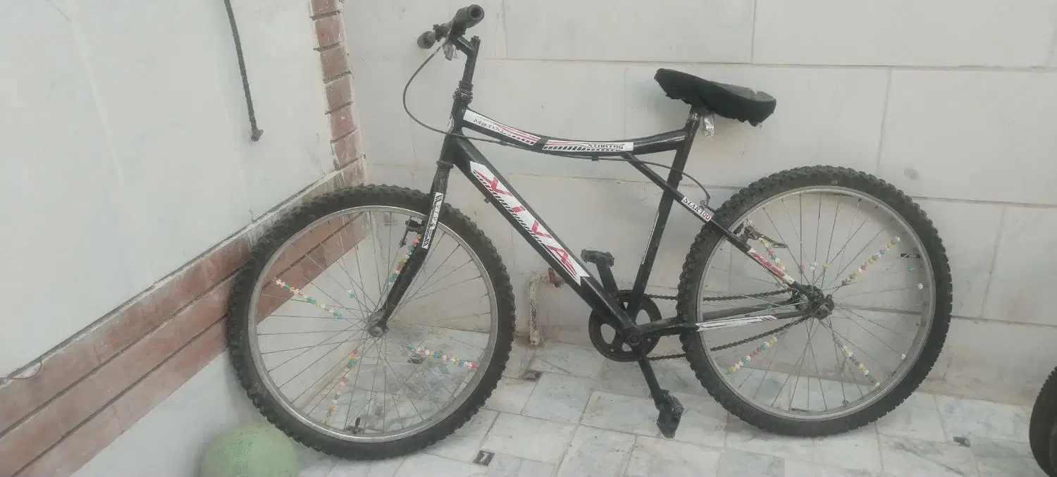 سالم|دوچرخه، اسکیت، اسکوتر|بیرجند, |دیوار