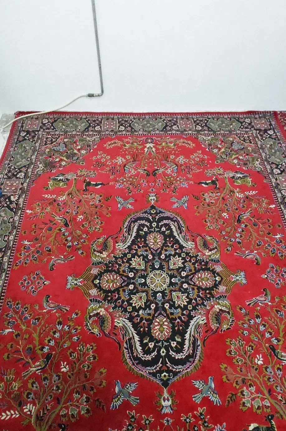 فرش 12متری|فرش|تربت جام, شاد|دیوار