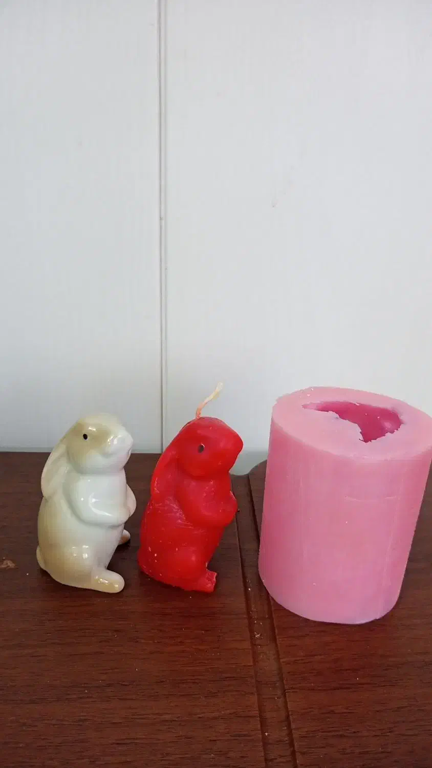 قالب خرگوش سیلیکونی|صنایع دستی و سایر لوازم تزئینی|مشهد, صداقیه|دیوار