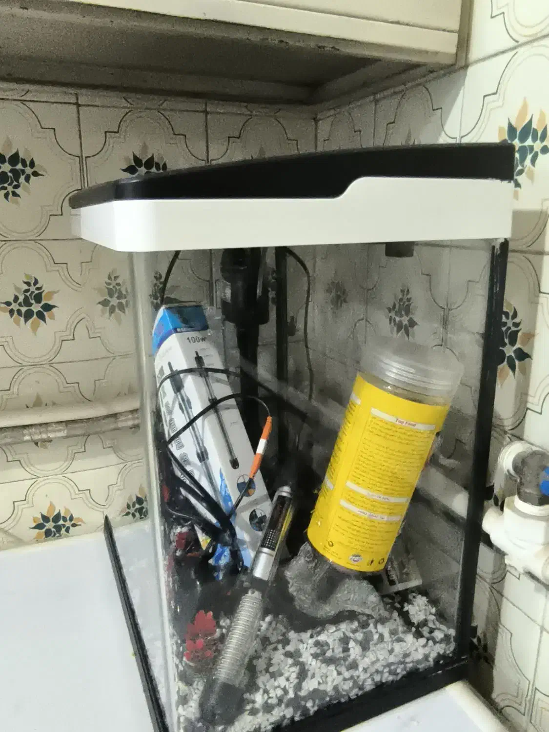 اکواریوم|ماهی|تهران, افسریه شمالی|دیوار