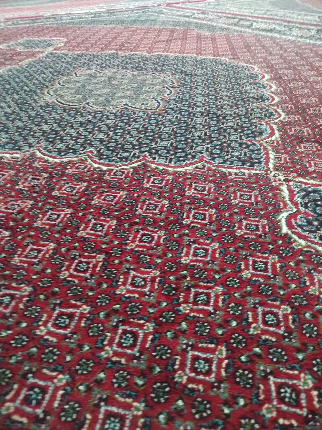 قالی ریز ماهی نگین مشهد|فرش|خرمآباد, |دیوار