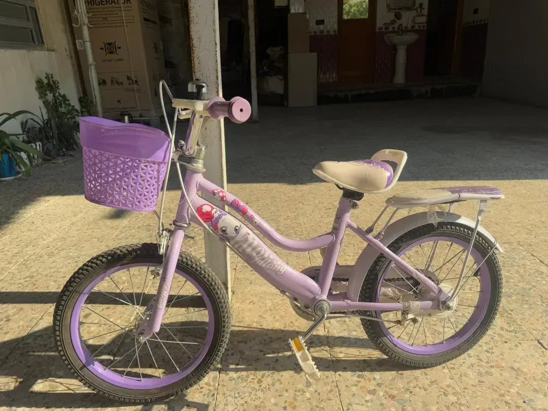 دوچرخه دخترانه نو|دوچرخه، اسکیت، اسکوتر|ریگ, |دیوار