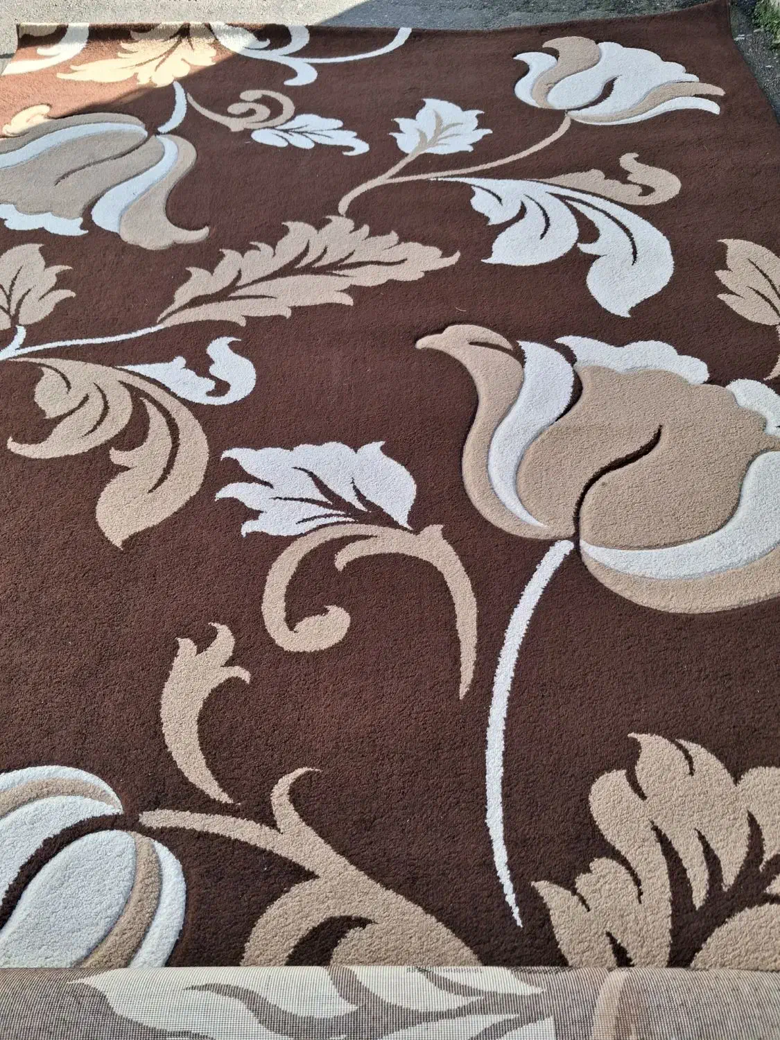 گلیم فرش ۹ متری تمیز|فرش|رشت, دباغیان|دیوار