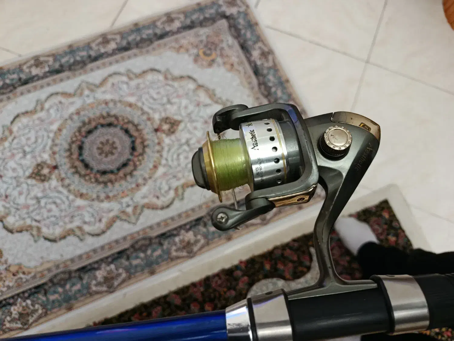 لنسرماهی گیری|ماهیگیری|فردیس, فرامرزیه|دیوار