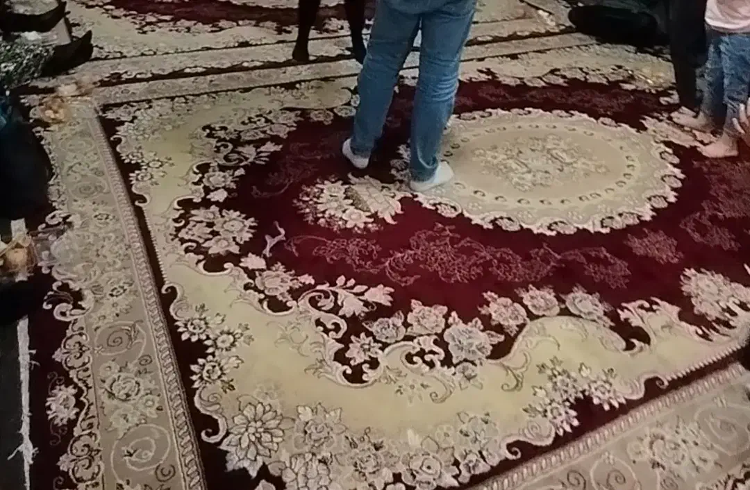 دو عدد فرش ۱۲ متری|فرش|خزل, |دیوار