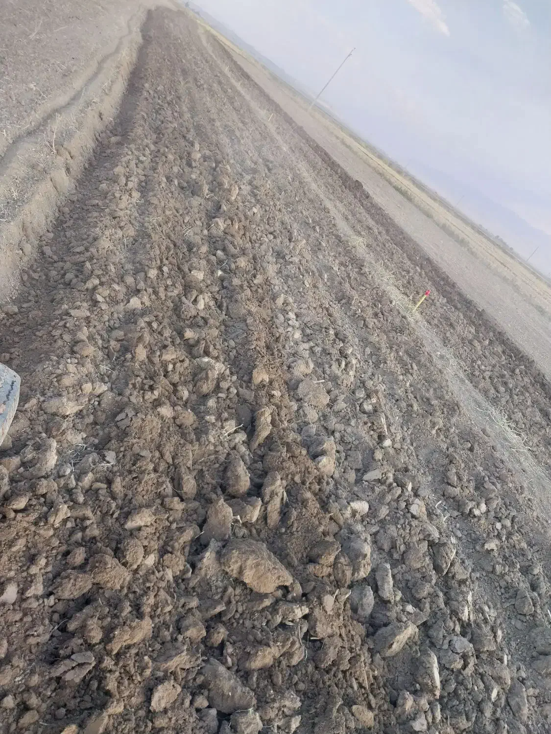 24جریب زمین کشاورزی|فروش دفتر صنعتی، کشاورزی، تجاری|نهاوند, |دیوار