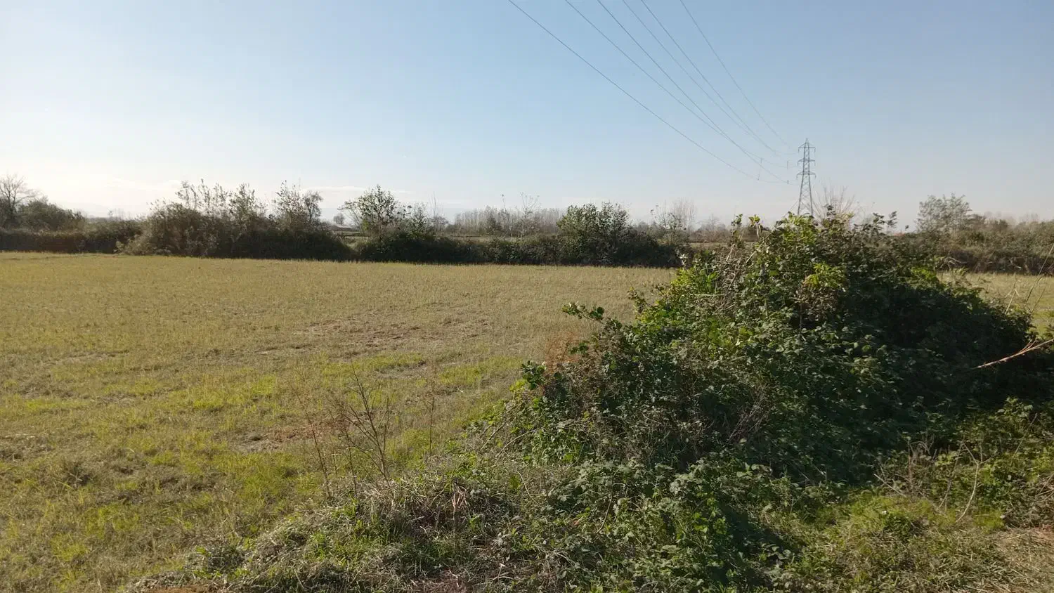 ۱۱۳۰۰مترشالیزارسنتی/زیرقیمت واقعی/چسبیده به انشعاب|فروش زمین و ملک کلنگی|آستانه اشرفیه, |دیوار