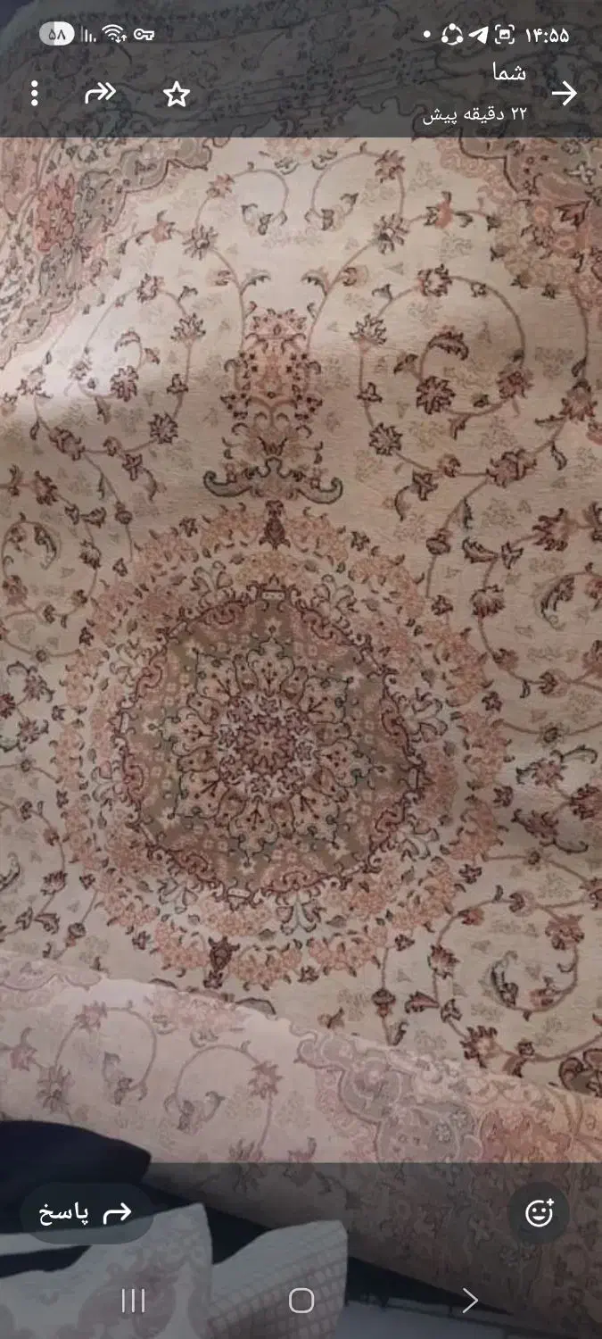 فرش|فرش|تهران, نصرت|دیوار