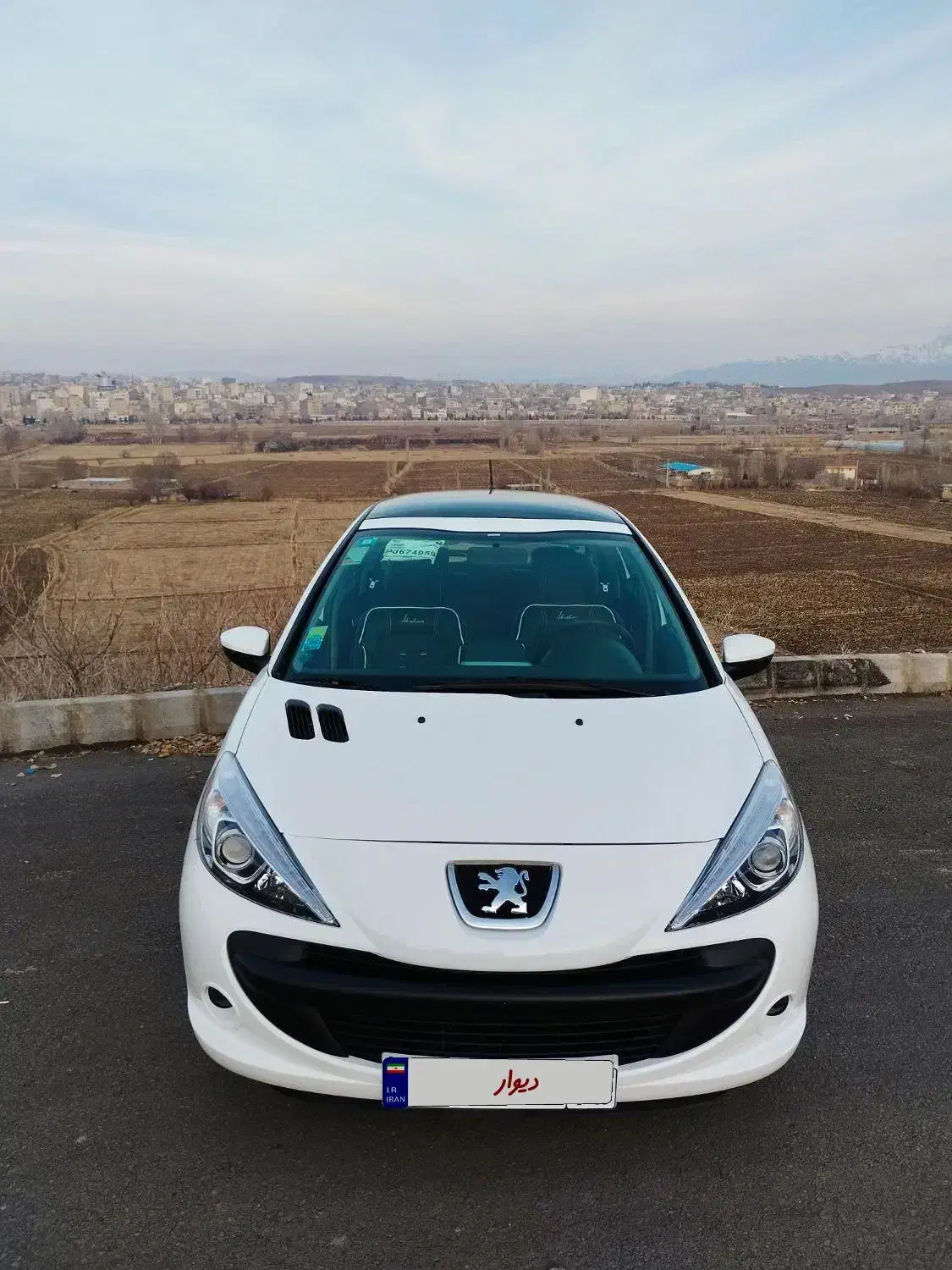 ۲۰۷ مدل ۴۰۲ پانا|خودرو سواری و وانت|میانه, |دیوار