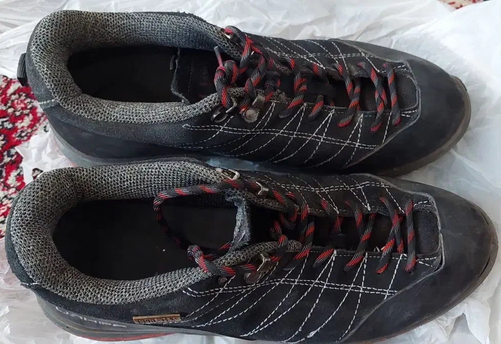 کفش کوهنوردی|کیف، کفش، کمربند|کرمانشاه, |دیوار