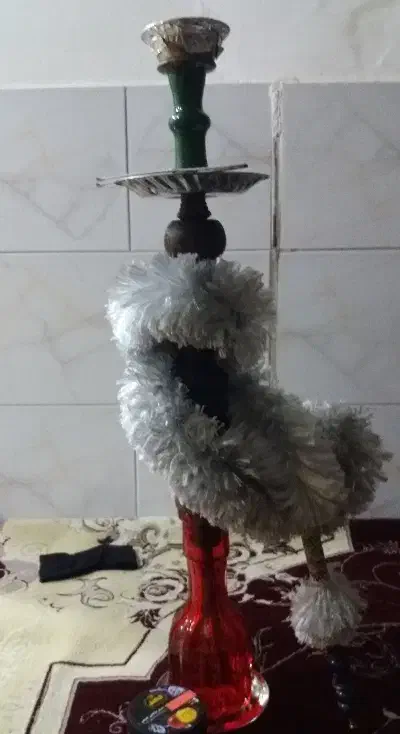 قلیون|کلکسیون و سرگرمی|قدس, شهر‌قدس|دیوار