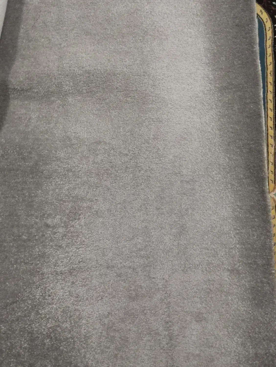 پالاز موکت نو|موکت|دوگنبدان, |دیوار