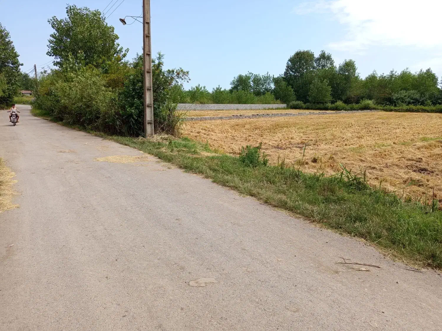 فروش زمین باغی|فروش زمین و ملک کلنگی|رودبنه, |دیوار