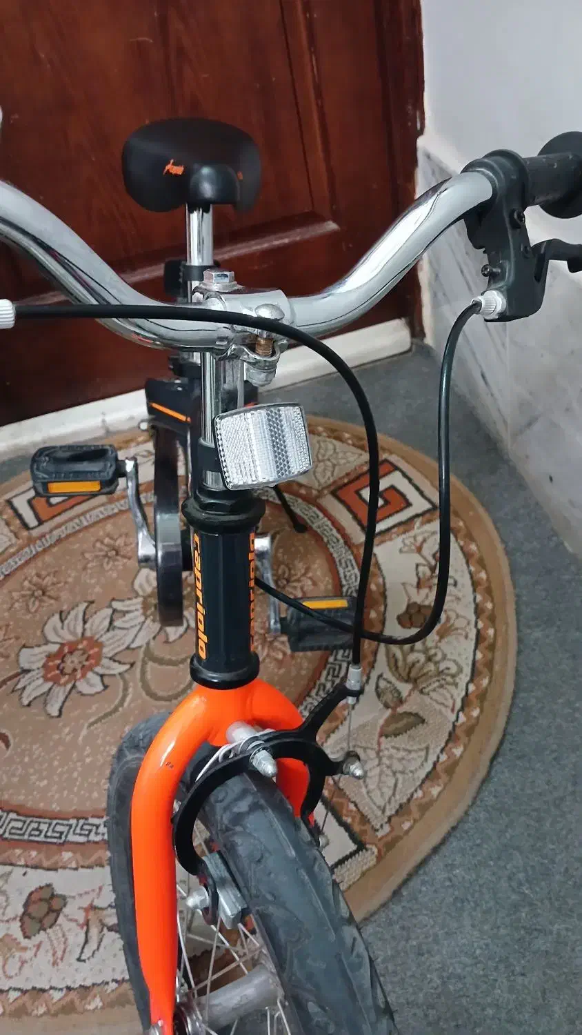 دوچرخه|دوچرخه، اسکیت، اسکوتر|گنبد کاووس, |دیوار