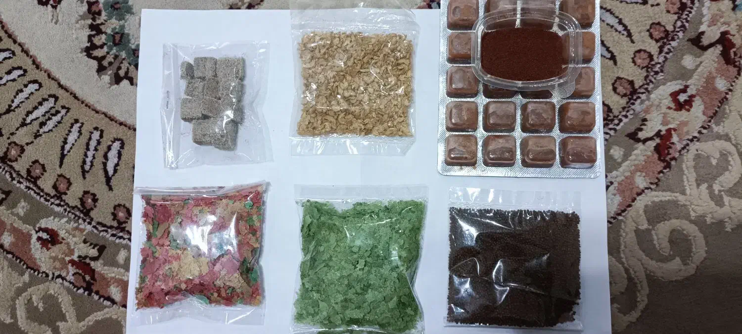 انواع غذاهای ماهی گیاهخوار و گوشتخوار|ماهی|اهواز, فاز ۲ پادادشهر|دیوار