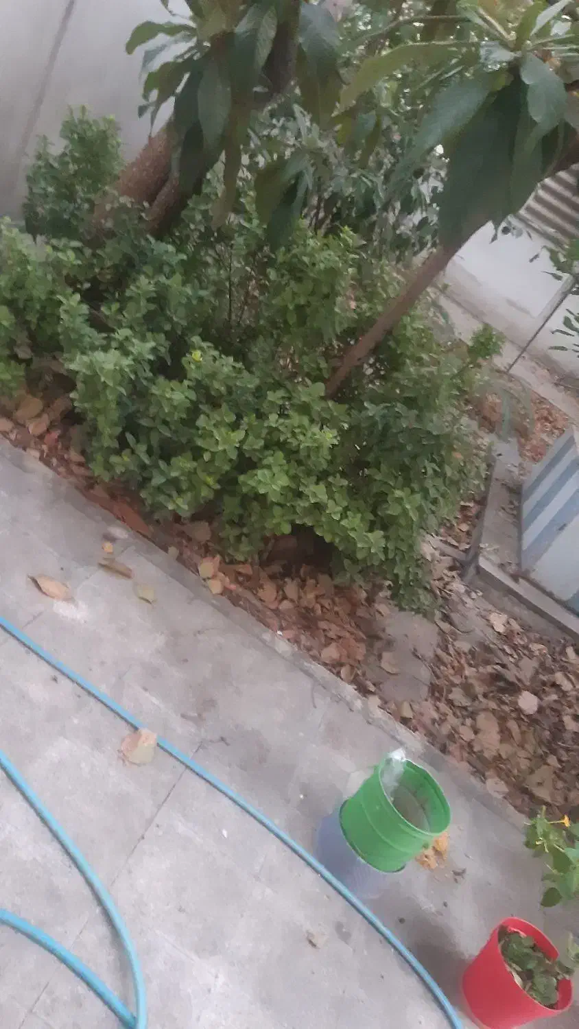 ۸۵ متر مطهری قائم مقام با حیاط اختصاصی تکواحدی|فروش آپارتمان|تهران, سنائی|دیوار