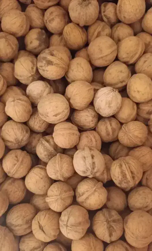 خشکبار  گردو بادام و...|خوردنی و آشامیدنی|تهران, شهرک آزادی|دیوار