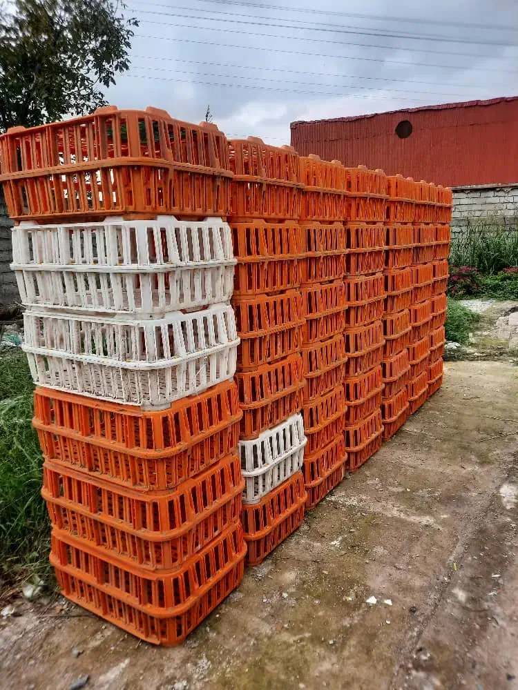 فروش  قفس مرغ|عمده‌فروشی|لنگرود, |دیوار