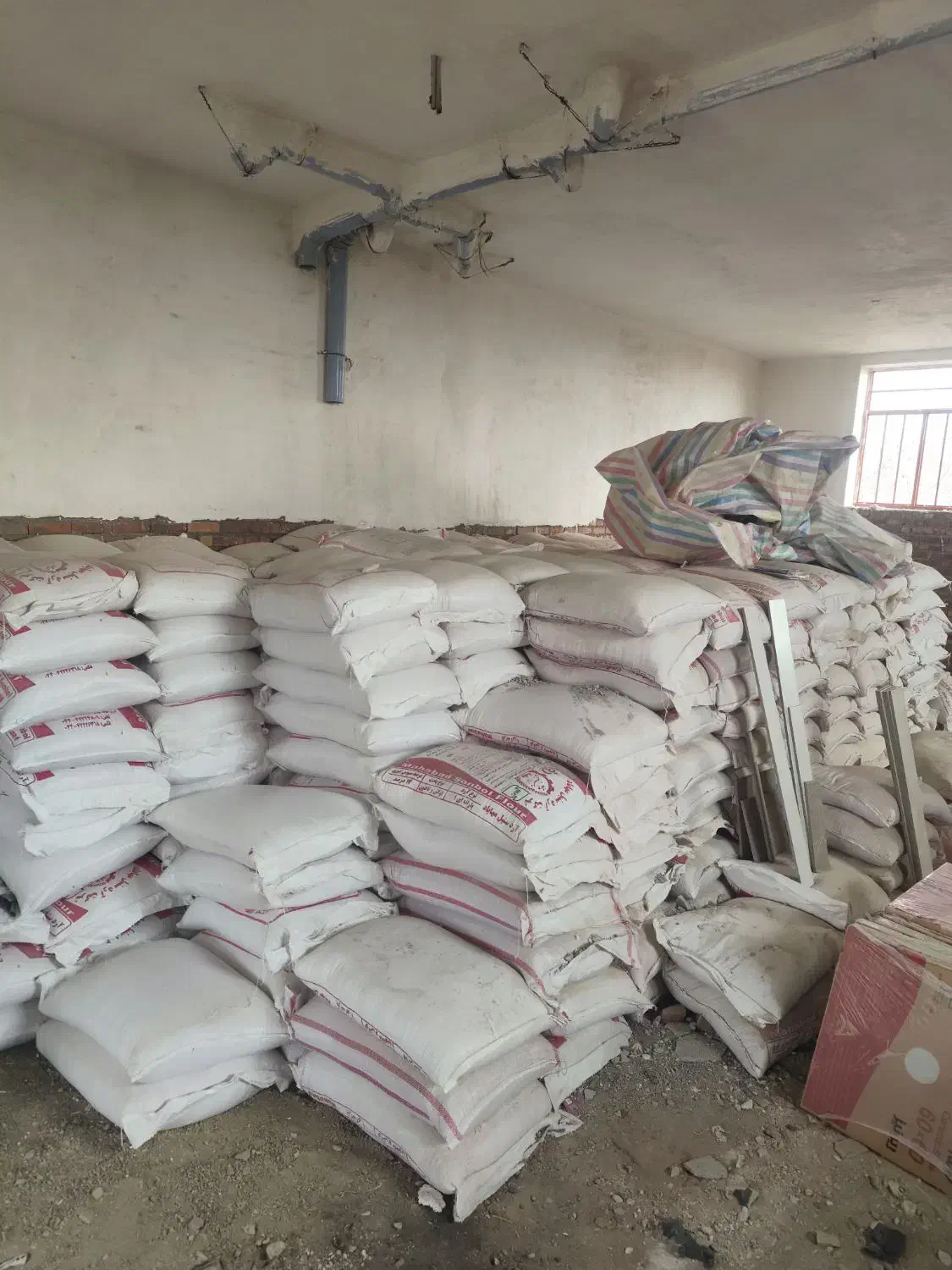 گندم پیشگام|خدمات باغبانی و درختکاری|مهاباد (آذربایجان غربی), |دیوار