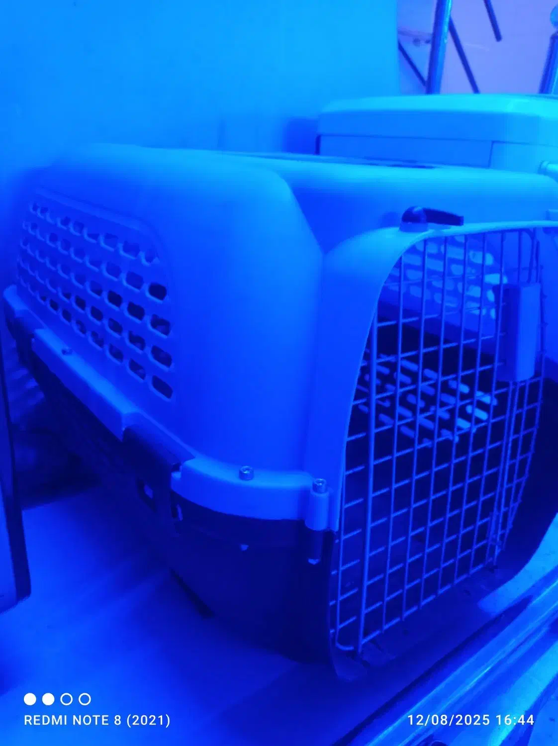 جای خواب گربه سگ|لوازم جانبی حیوانات|تبریز, |دیوار