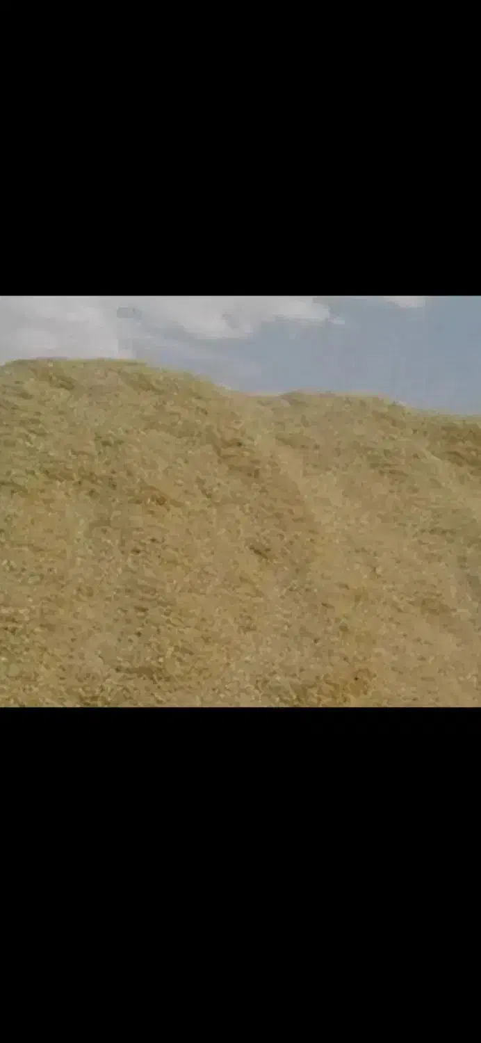 کاه عدس درجه ۱ خرمنکوبی|حیوانات مزرعه|کوهدشت, |دیوار