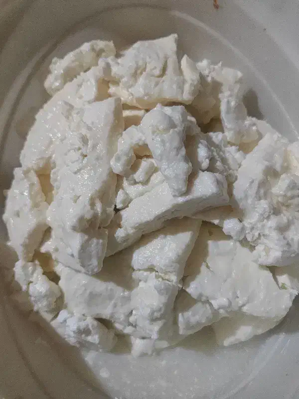 پنیر بز|خوردنی و آشامیدنی|دزفول, |دیوار