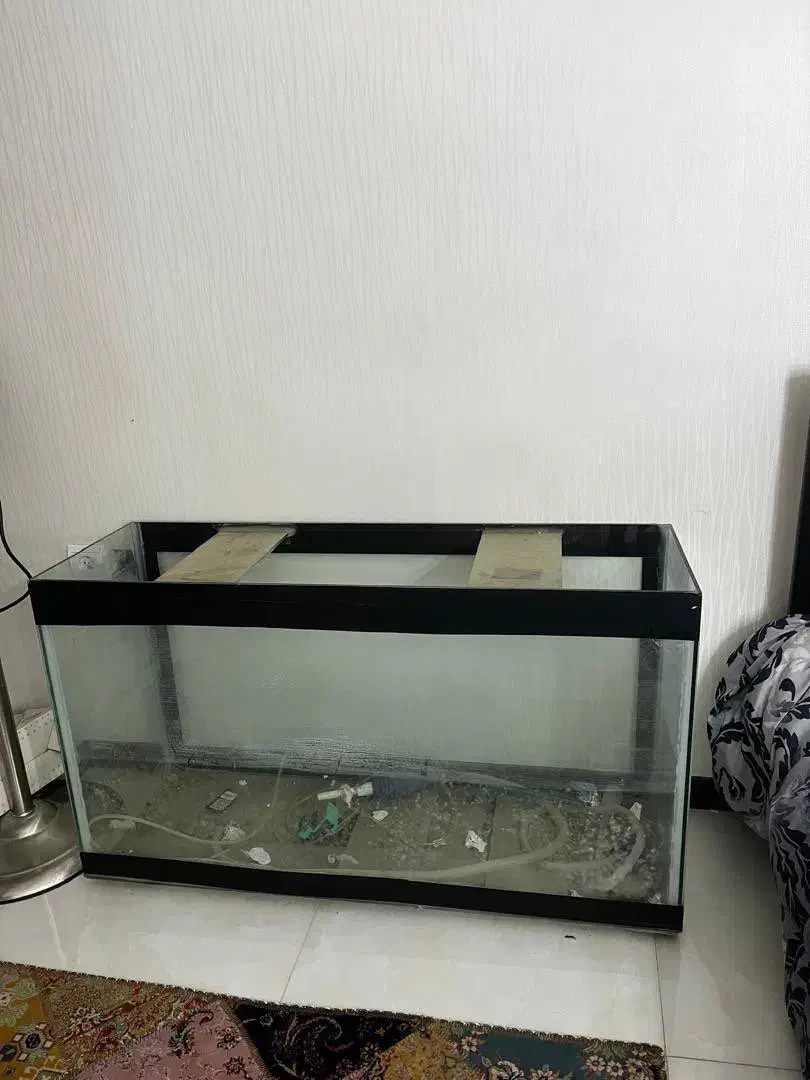 آکواریوم|ماهی|اهواز, سلطانمنش|دیوار