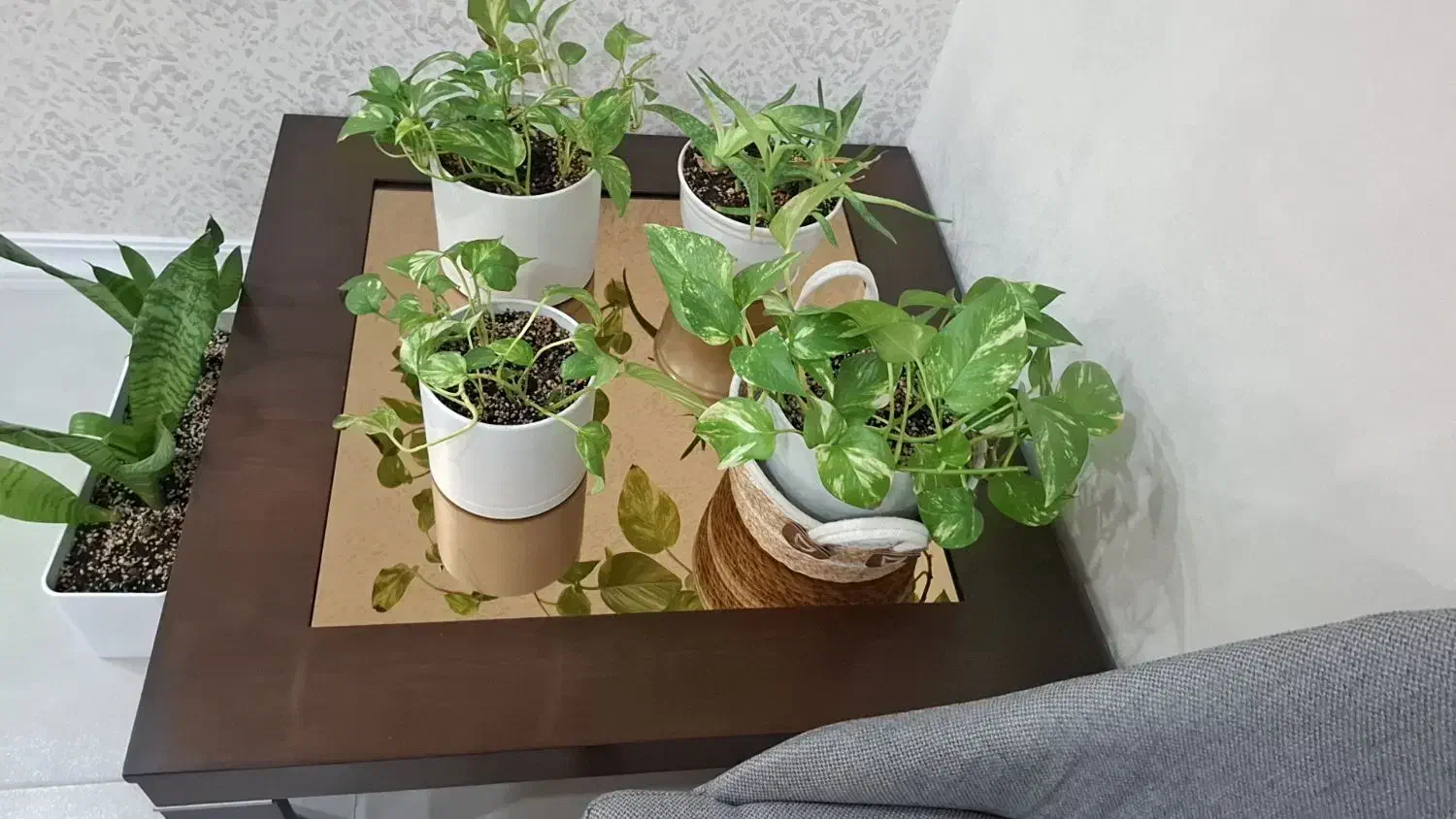 میز جلومبلی|مبلمان خانگی و میز عسلی|اهواز, کیان اباد|دیوار