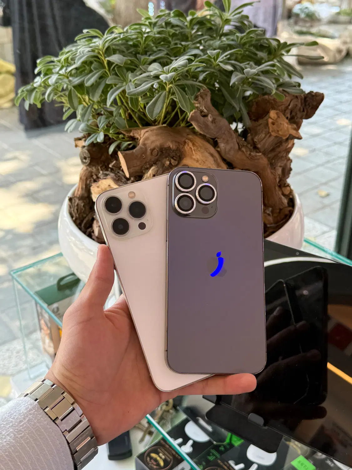 iphone 13pro max|موبایل|نیشابور, فردوس شمالی|دیوار