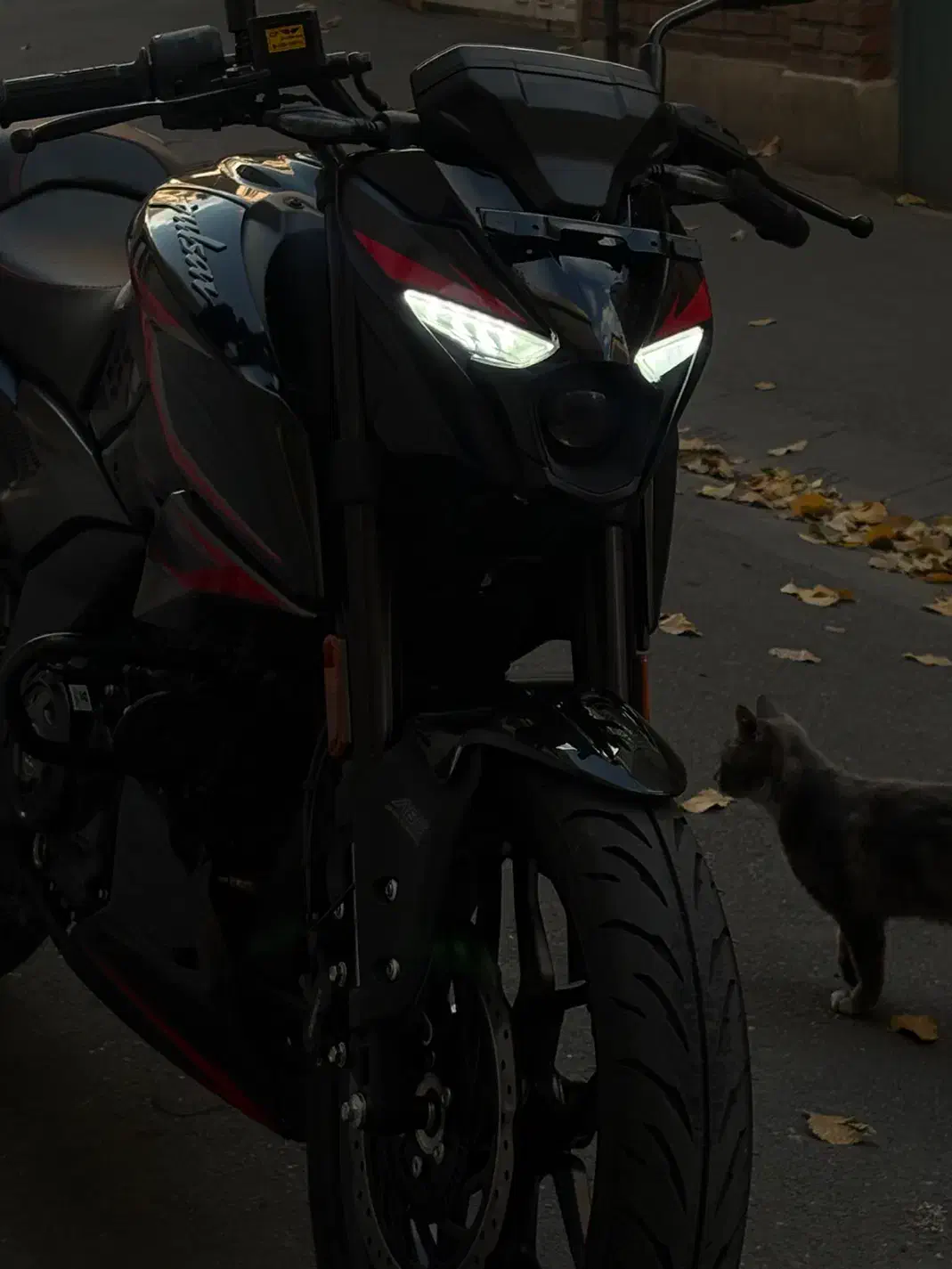 N250|موتورسیکلت|تهران, امام حسین|دیوار