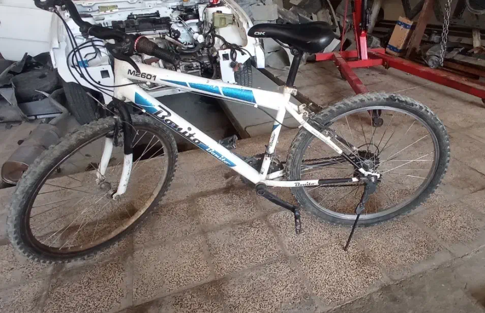 دوچرخه26|دوچرخه، اسکیت، اسکوتر|قدس, شهر‌قدس|دیوار