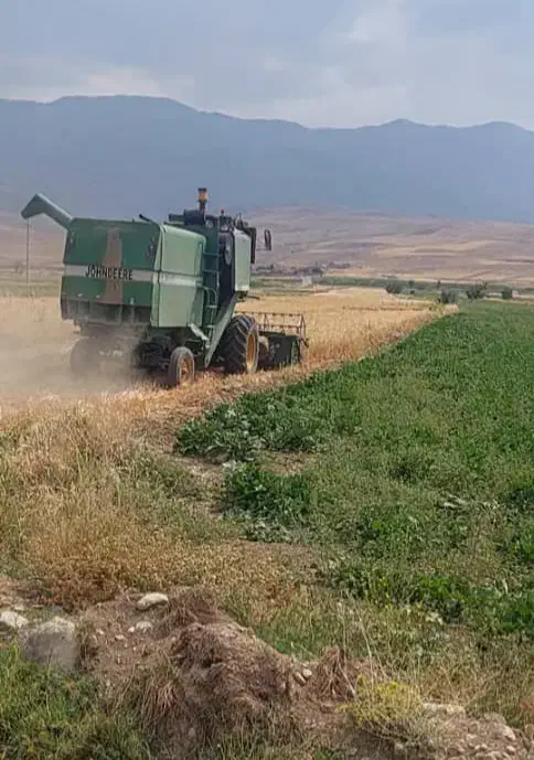 زمین کشاورزی فروشی|فروش زمین و ملک کلنگی|نهاوند, |دیوار